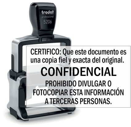 TR5206-SC-02 Copia fiel y exacta