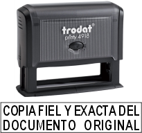 TR4918-SC-02 Copia fiel y exacta