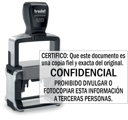 TR5203-SC-02 Copia fiel y exacta